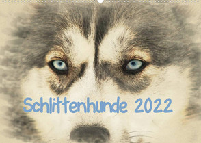 Schlittenhunde 2022 (Wandkalender 2022 DIN A2 quer) von Redecker,  Andrea