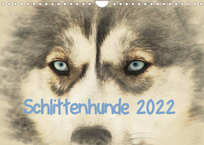 Schlittenhunde 2022 (Wandkalender 2022 DIN A4 quer) von Redecker,  Andrea