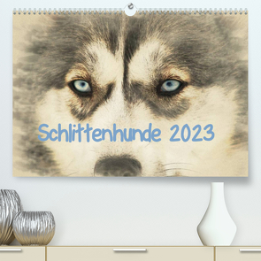 Schlittenhunde 2023 (Premium, hochwertiger DIN A2 Wandkalender 2023, Kunstdruck in Hochglanz) von Redecker,  Andrea