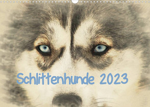 Schlittenhunde 2023 (Wandkalender 2023 DIN A3 quer) von Redecker,  Andrea