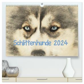 Schlittenhunde 2024 (hochwertiger Premium Wandkalender 2024 DIN A2 quer), Kunstdruck in Hochglanz von Redecker,  Andrea