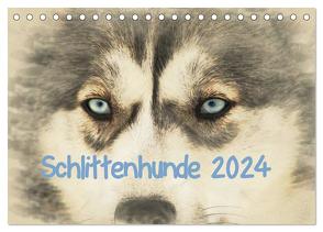 Schlittenhunde 2024 (Tischkalender 2024 DIN A5 quer), CALVENDO Monatskalender von Redecker,  Andrea