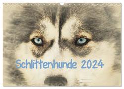 Schlittenhunde 2024 (Wandkalender 2024 DIN A3 quer), CALVENDO Monatskalender von Redecker,  Andrea