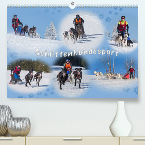 Schlittenhundesport (Premium, hochwertiger DIN A2 Wandkalender 2023, Kunstdruck in Hochglanz) von Eschrich -HeschFoto,  Heiko