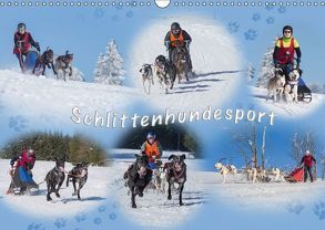 Schlittenhundesport (Wandkalender 2018 DIN A3 quer) von Eschrich -HeschFoto,  Heiko