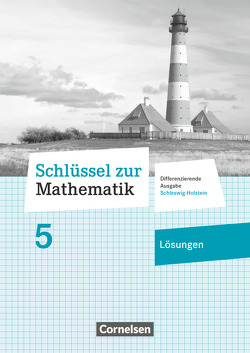 Schlüssel zur Mathematik – Differenzierende Ausgabe Schleswig-Holstein – 5. Schuljahr von Berkemeier,  Helga
