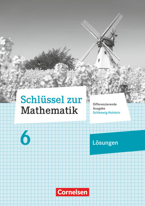 Schlüssel zur Mathematik – Differenzierende Ausgabe Schleswig-Holstein – 6. Schuljahr von Berkemeier,  Helga
