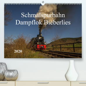 Schmalspurbahn Dampflok Bieberlies (Premium, hochwertiger DIN A2 Wandkalender 2020, Kunstdruck in Hochglanz) von Rein,  Simone