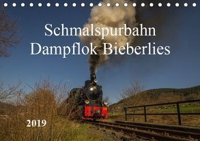 Schmalspurbahn Dampflok Bieberlies (Tischkalender 2019 DIN A5 quer) von Rein,  Simone