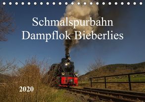 Schmalspurbahn Dampflok Bieberlies (Tischkalender 2020 DIN A5 quer) von Rein,  Simone