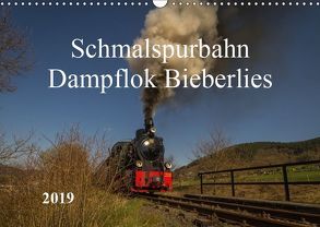 Schmalspurbahn Dampflok Bieberlies (Wandkalender 2019 DIN A3 quer) von Rein,  Simone