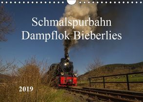 Schmalspurbahn Dampflok Bieberlies (Wandkalender 2019 DIN A4 quer) von Rein,  Simone