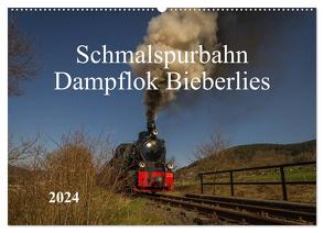 Schmalspurbahn Dampflok Bieberlies (Wandkalender 2024 DIN A2 quer), CALVENDO Monatskalender von Rein,  Simone