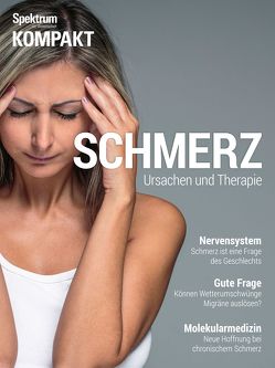 Schmerz