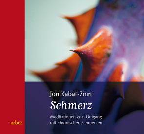 Schmerz von Hölzel,  Britta, Kabat-Zinn,  Jon