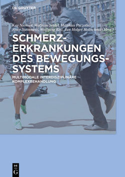 Schmerzerkrankungen des Bewegungssystems von Holtschmit,  Jan Holger, Niemier,  Kay, Psczolla,  Matthias, Ritz,  Wolfgang, Seidel,  Wolfram, Steinmetz,  Anke