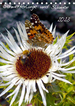 Schmetterlilnge und Blumen (Tischkalender 2023 DIN A5 hoch) von N.,  N.