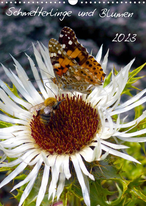 Schmetterlilnge und Blumen (Wandkalender 2023 DIN A3 hoch) von N.,  N.