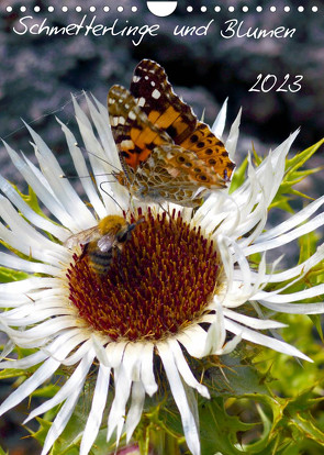 Schmetterlilnge und Blumen (Wandkalender 2023 DIN A4 hoch) von N.,  N.