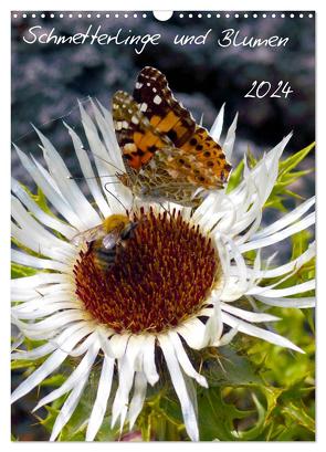 Schmetterlilnge und Blumen (Wandkalender 2024 DIN A3 hoch), CALVENDO Monatskalender