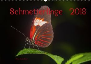 Schmetterlinge 2018CH-Version (Wandkalender 2018 DIN A2 quer) von J. Koller 4Pictures.ch,  Alois