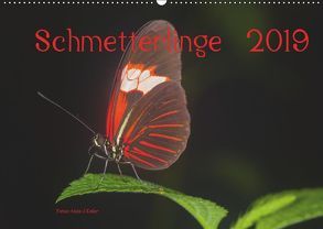 Schmetterlinge 2019CH-Version (Wandkalender 2019 DIN A2 quer) von J. Koller 4Pictures.ch,  Alois