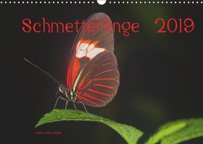 Schmetterlinge 2019CH-Version (Wandkalender 2019 DIN A3 quer) von J. Koller 4Pictures.ch,  Alois