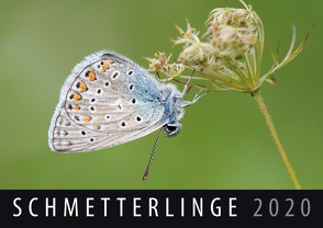 Schmetterlinge 2020 von Quelle & Meyer Verlag