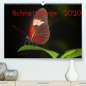 Schmetterlinge 2020CH-Version (Premium, hochwertiger DIN A2 Wandkalender 2020, Kunstdruck in Hochglanz) von J. Koller 4Pictures.ch,  Alois