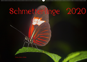 Schmetterlinge 2020CH-Version (Wandkalender 2020 DIN A2 quer) von J. Koller 4Pictures.ch,  Alois