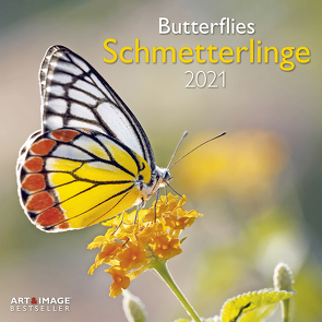 Schmetterlinge 2021 – Wand-Kalender – Broschüren-Kalender – A&I – 30×30 – 30×60 geöffnet