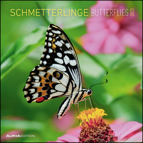 Schmetterlinge 2023 – Broschürenkalender 30×30 cm (30×60 geöffnet) – Kalender mit Platz für Notizen – Butterflies – Bildkalender – Wandkalender