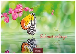 Schmetterlinge 2023 S 24x35cm