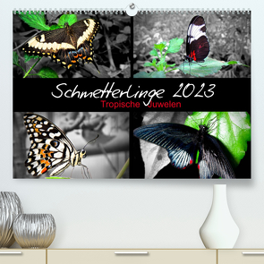 Schmetterlinge 2023 – Tropische Juwelen (Premium, hochwertiger DIN A2 Wandkalender 2023, Kunstdruck in Hochglanz) von Hamburg, Mirko Weigt,  ©