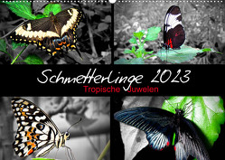 Schmetterlinge 2023 – Tropische Juwelen (Wandkalender 2023 DIN A2 quer) von Hamburg, Mirko Weigt,  ©