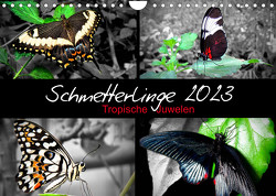 Schmetterlinge 2023 – Tropische Juwelen (Wandkalender 2023 DIN A4 quer) von Hamburg, Mirko Weigt,  ©
