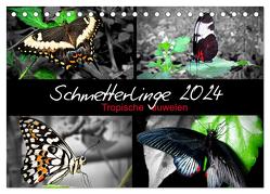 Schmetterlinge 2024 – Tropische Juwelen (Tischkalender 2024 DIN A5 quer), CALVENDO Monatskalender von Mirko Weigt,  Hamburg,  ©