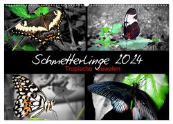 Schmetterlinge 2024 – Tropische Juwelen (Wandkalender 2024 DIN A2 quer), CALVENDO Monatskalender von Mirko Weigt,  Hamburg,  ©