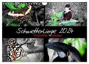 Schmetterlinge 2024 – Tropische Juwelen (Wandkalender 2024 DIN A4 quer), CALVENDO Monatskalender von Mirko Weigt,  Hamburg,  ©