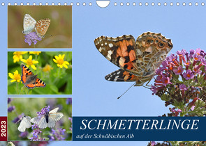 Schmetterlinge auf der Schwäbischen Alb (Wandkalender 2023 DIN A4 quer) von GUGIGEI