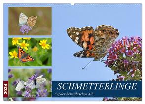 Schmetterlinge auf der Schwäbischen Alb (Wandkalender 2024 DIN A2 quer), CALVENDO Monatskalender von GUGIGEI,  GUGIGEI