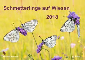 Schmetterlinge auf Wiesen 2018 von Kolossa,  Andreas