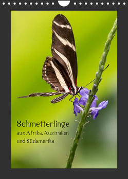 Schmetterlinge aus Afrika, Australien und Südamerika (Wandkalender 2023 DIN A4 hoch) von Behrends,  Wilhelm