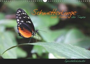 Schmetterlinge – bunte Exoten der Tropen (Wandkalender 2019 DIN A3 quer) von Thiem-Eberitsch,  Jana