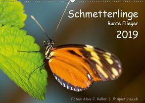 Schmetterlinge – Bunte Flieger 2019CH-Version (Wandkalender 2019 DIN A2 quer) von J. Koller 4Pictures.ch,  Alois