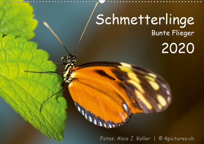 Schmetterlinge – Bunte Flieger 2020CH-Version (Wandkalender 2020 DIN A2 quer) von J. Koller 4Pictures.ch,  Alois