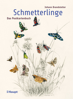 Schmetterlinge – Das Postkartenbuch von Brandstetter,  Johann