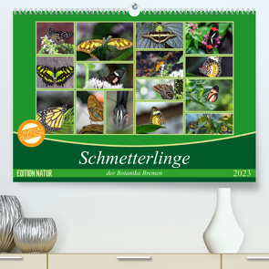 Schmetterlinge der Botanika Bremen (Premium, hochwertiger DIN A2 Wandkalender 2023, Kunstdruck in Hochglanz) von Körner,  Burkhard