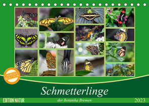 Schmetterlinge der Botanika Bremen (Tischkalender 2023 DIN A5 quer) von Körner,  Burkhard