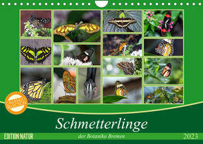 Schmetterlinge der Botanika Bremen (Wandkalender 2023 DIN A4 quer) von Körner,  Burkhard